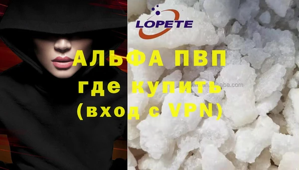 дживик Майский