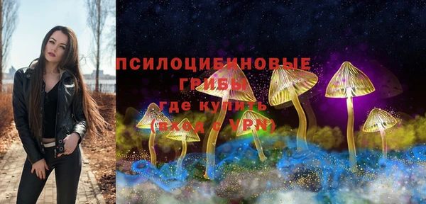 PSILOCYBIN Покров