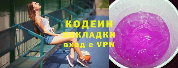 дживик Майский
