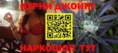 гашик Жуковский