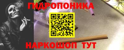 гашик Жуковский