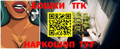 гашик Жуковский