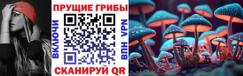 купить наркотик  Старый Оскол  Галлюциногенные грибы прущие грибы 