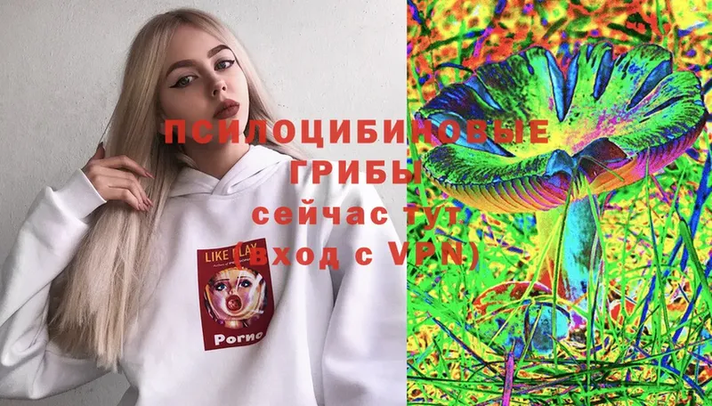 как найти закладки  Старый Оскол  Псилоцибиновые грибы Psilocybine cubensis 