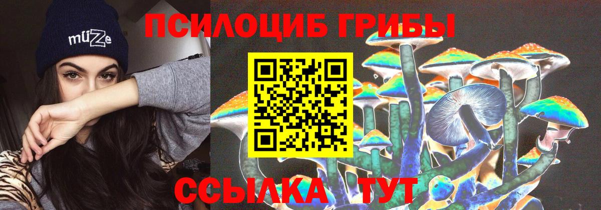 Псилоцибиновые грибы GOLDEN TEACHER Старый Оскол